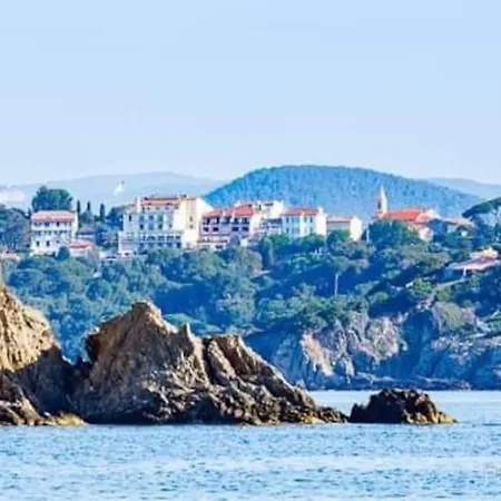 Mezzanine Piscine Presqu'ile De Giens 耶尔