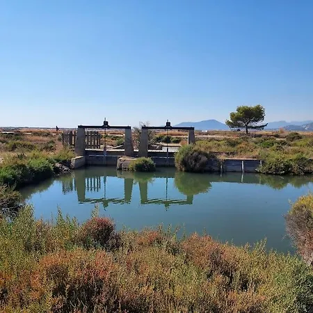 Mezzanine Piscine Presqu'ile De Giens 公寓