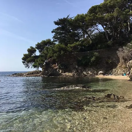 公寓 Mezzanine Piscine Presqu'ile De Giens