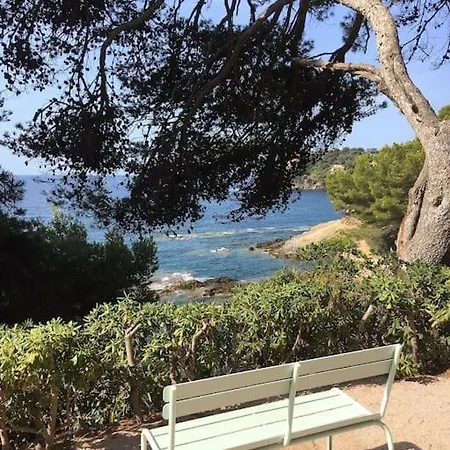 Mezzanine Piscine Presqu'ile De Giens *